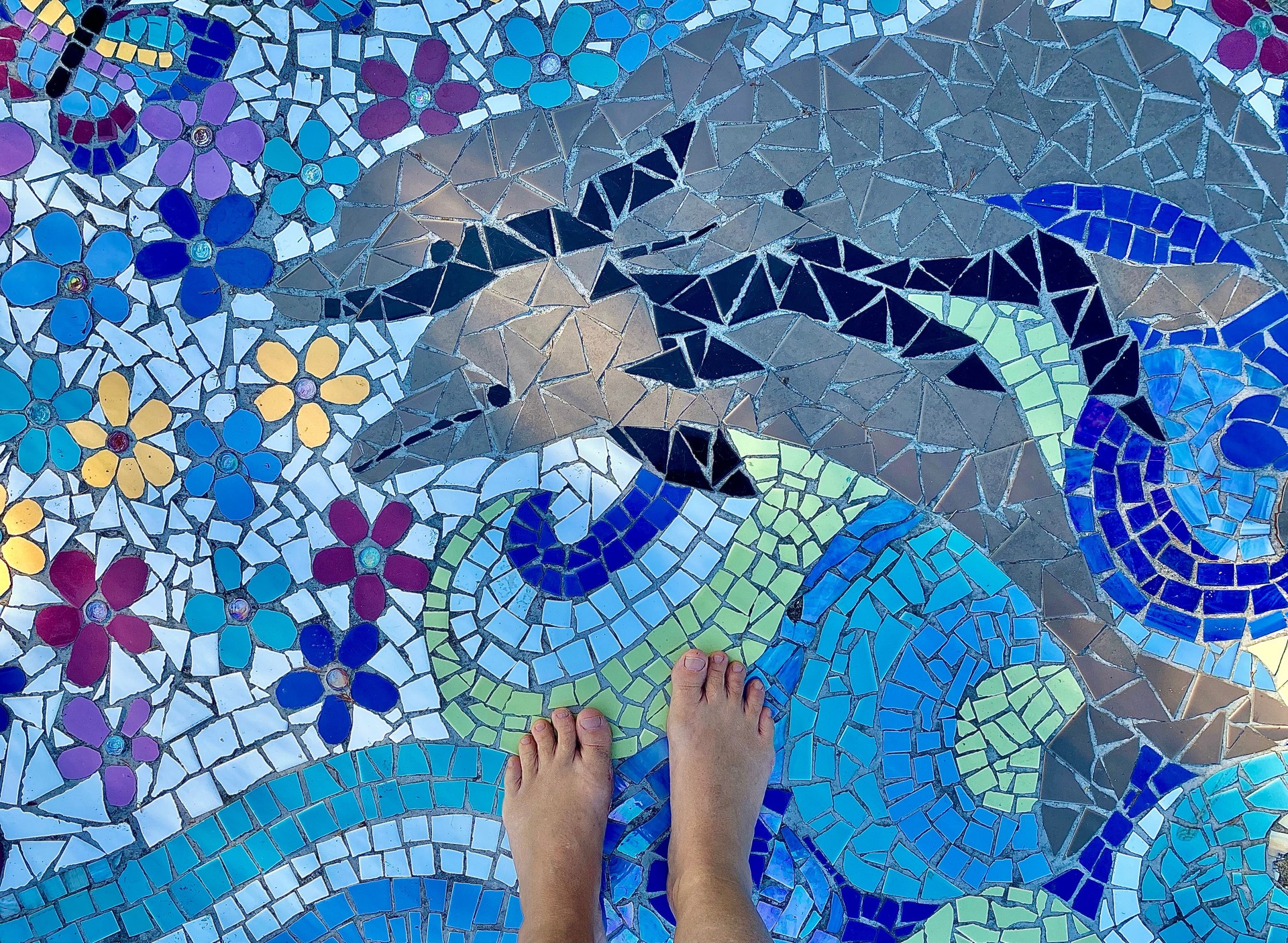 Public Mosaic of Dolphins